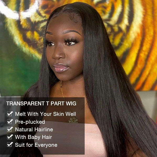 Black Straight T Part Lace Frontal Wig