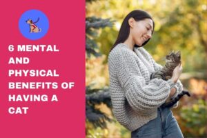 6 Mental and Physical Benefits of Having a Cat